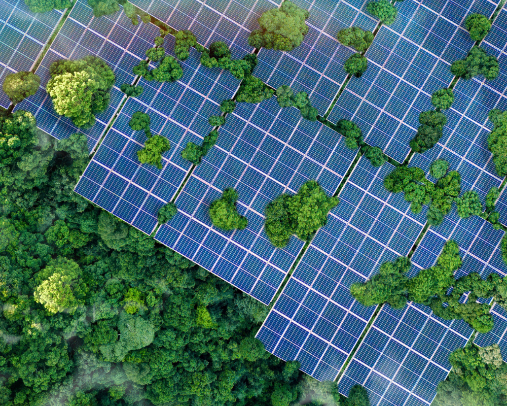 從維運到創新，提升您的綠能價值